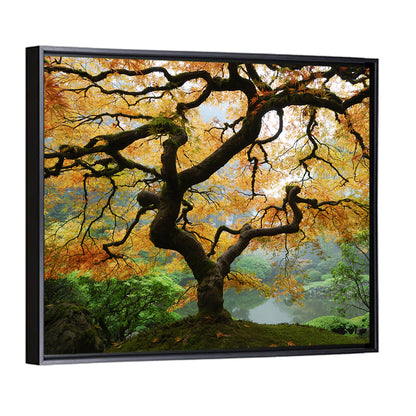 Japanese Autumn Maple Wall Art