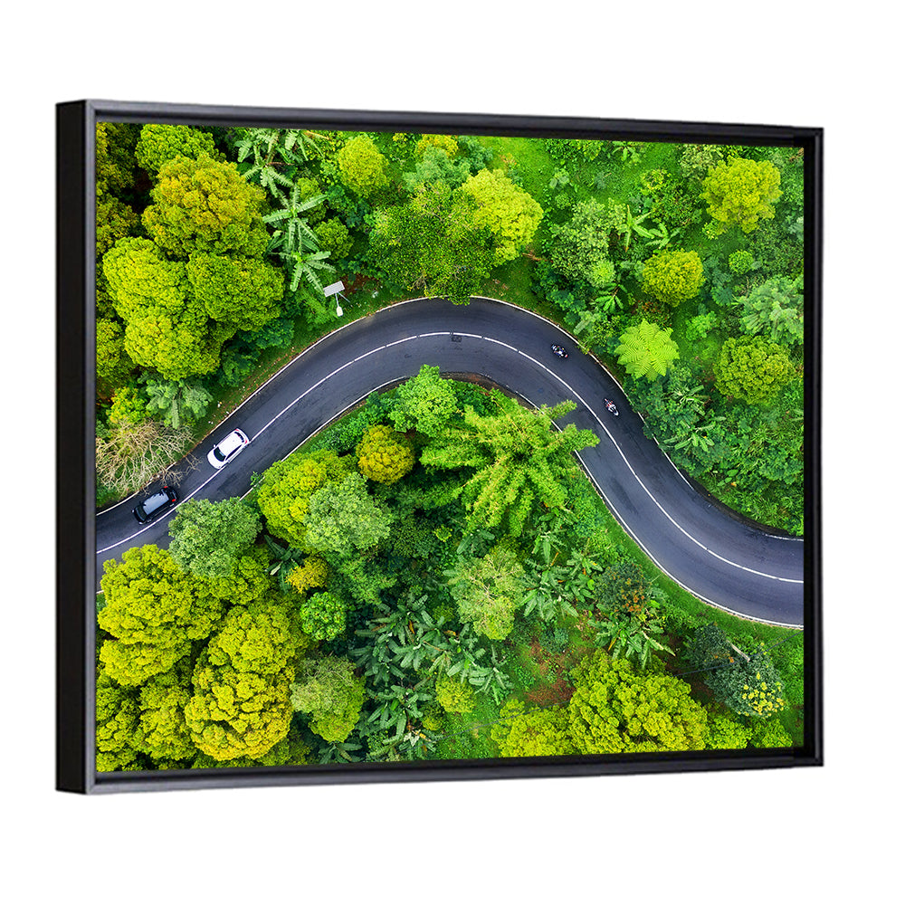 Winding Tropical Forest Road Wall Art