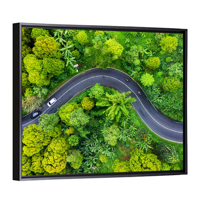 Winding Tropical Forest Road Wall Art