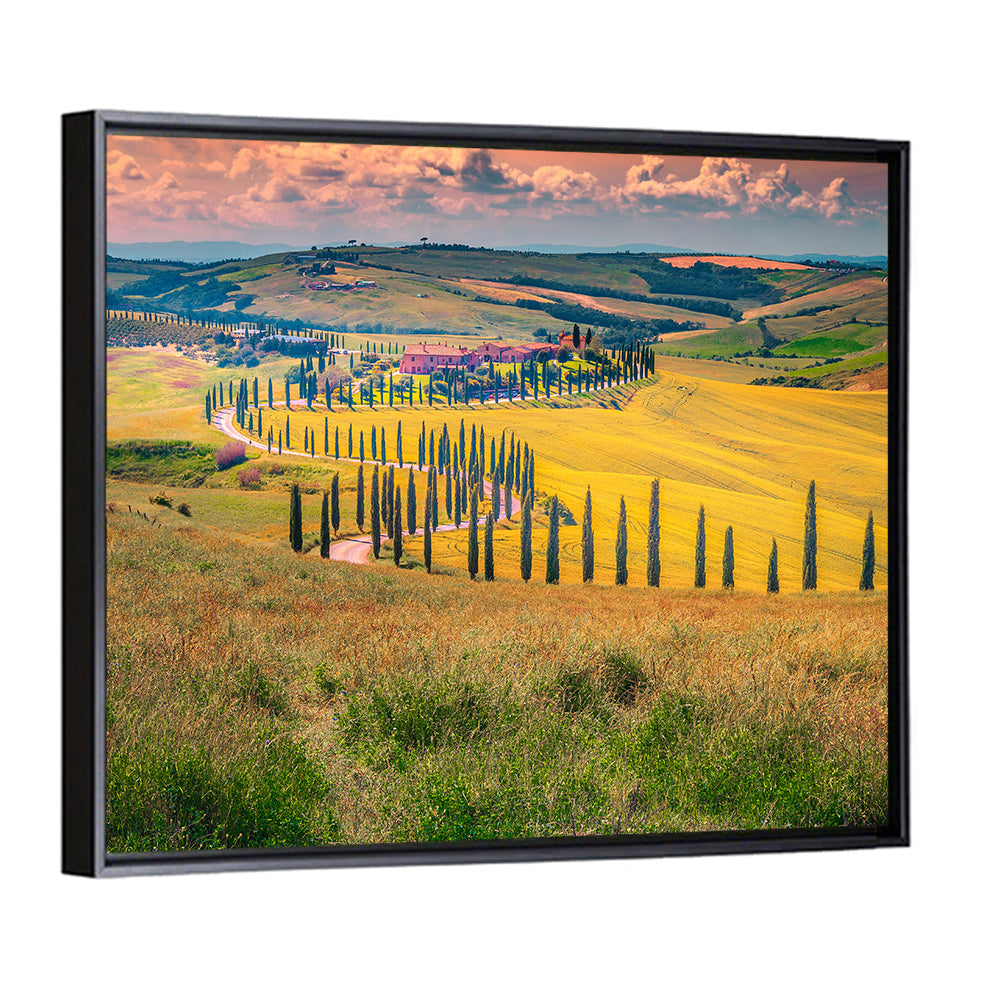 Val D'orcia Cypress Road Wall Art