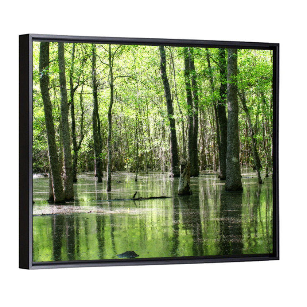 Sunlit Swamp Forest Wall Art