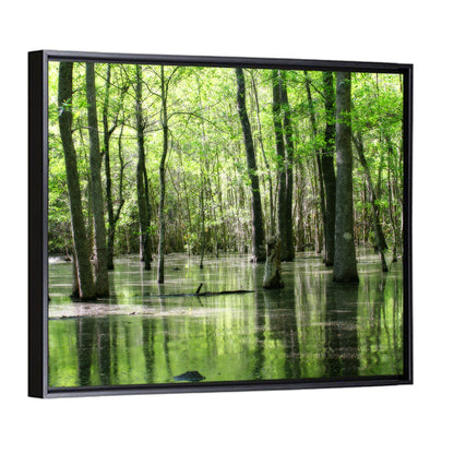 Sunlit Swamp Forest Wall Art