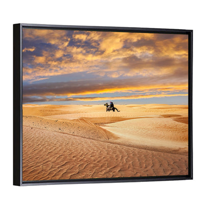 Sahara Camel Rider at Sunset Wall Art