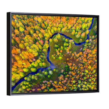 Autumn Forest River Wall Art