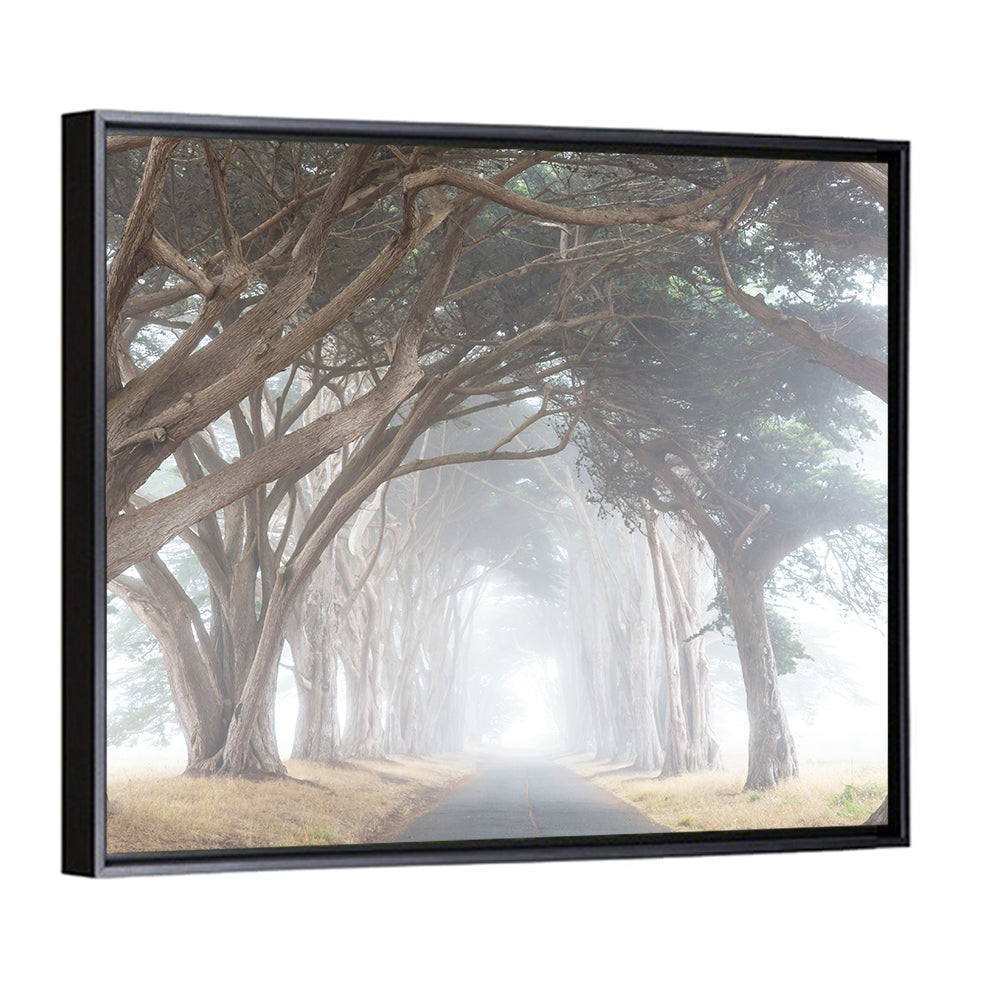 Misty Cypress Tunnel Wall Art
