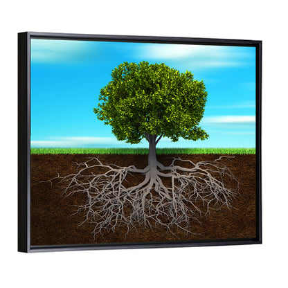 Tree Roots Cross-section Illustration Wall Art
