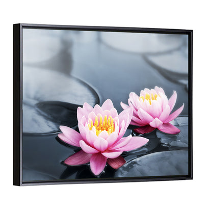 Pink Water Lilies Wall Art