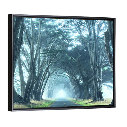 Foggy Cypress Tree Tunnel Wall Art