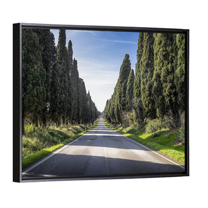 Cypress Trees Avenue Wall Art