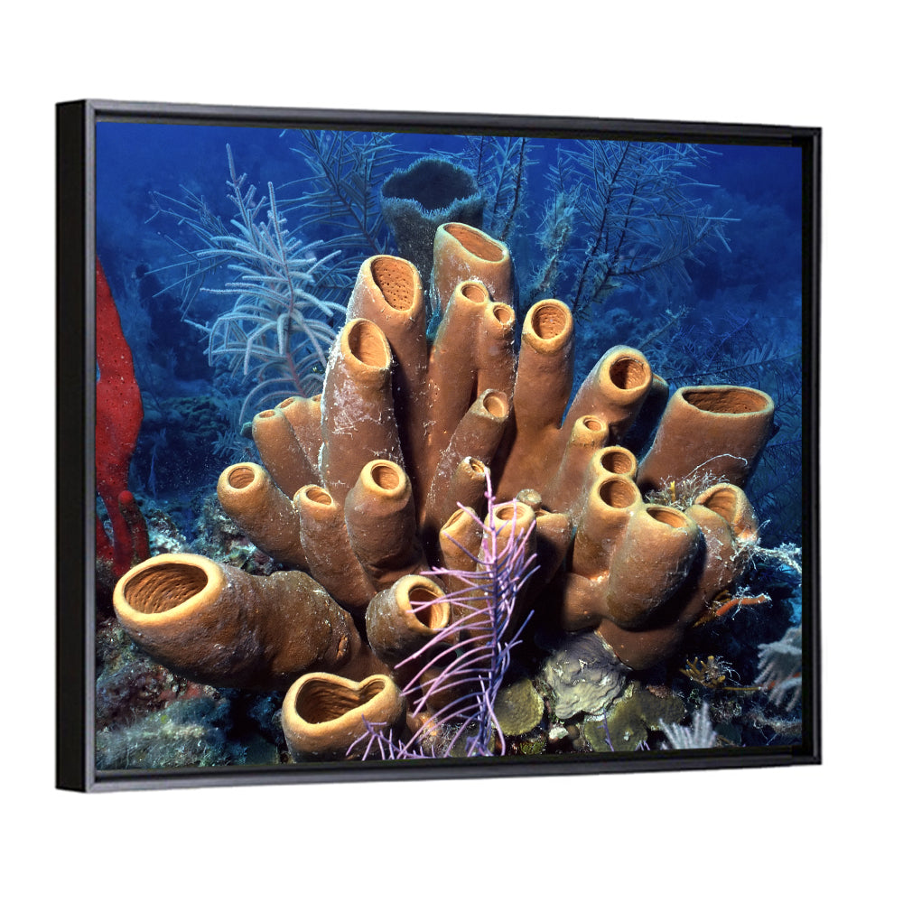 Belize Reef Sponge Scene Wall Art