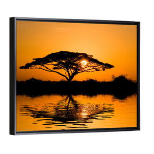 Acacia Tree at Sunrise Wall Art