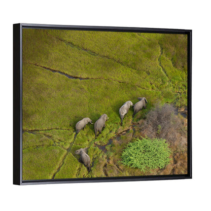 Aerial Herd of Elephants Wall Art