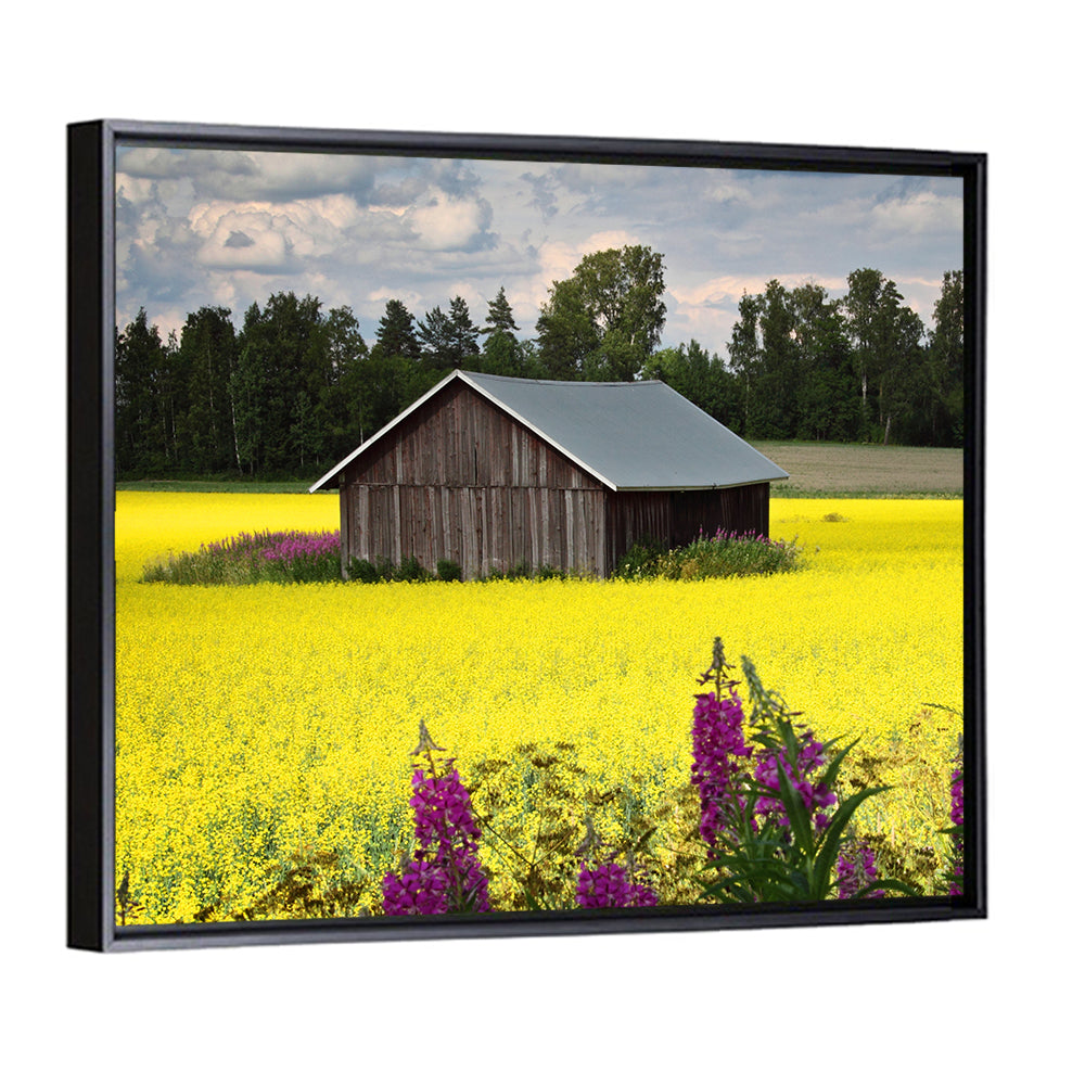 Finnish Barn in Yellow Field Wall Art