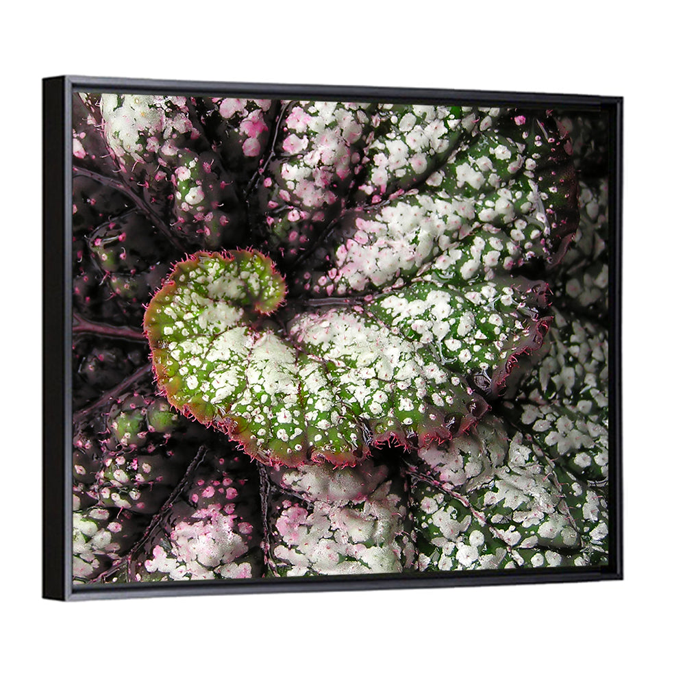 Begonia Leaf Spiral Geometry Wall Art