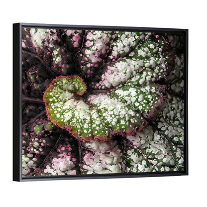 Begonia Leaf Spiral Geometry Wall Art