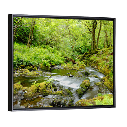 Mossy Stream Through Forest Wall Art
