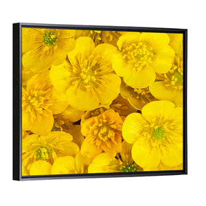 Wild Buttercups Wall Art