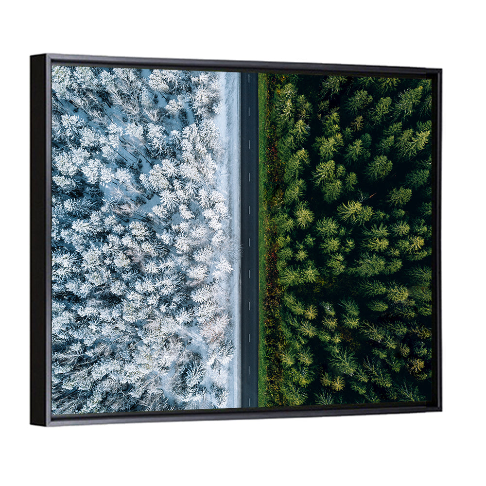 Summer and Winter Forests Wall Art