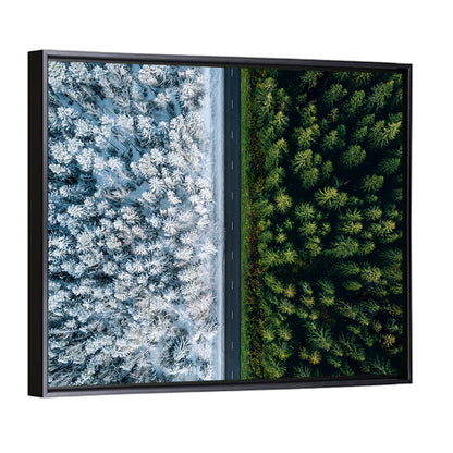 Summer and Winter Forests Wall Art