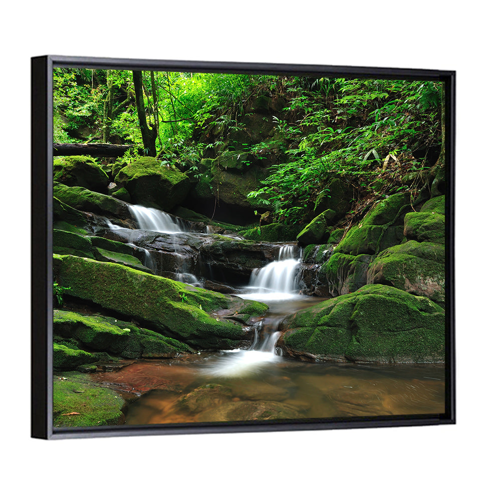 Mossy Rainforest Stream Wall Art