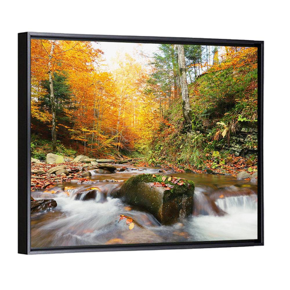 Forest Stream in Autumn Wall Art