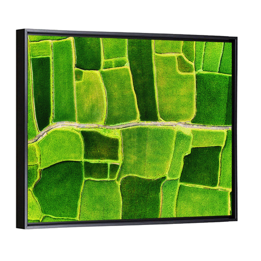 Verdant Rice Terrace Grid Wall Art