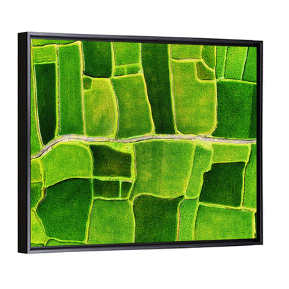 Verdant Rice Terrace Grid Wall Art