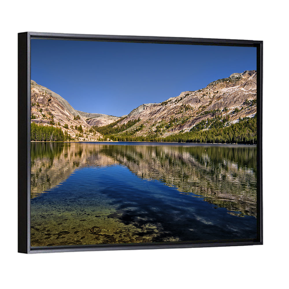 Tenaya Lake Reflection Wall Art