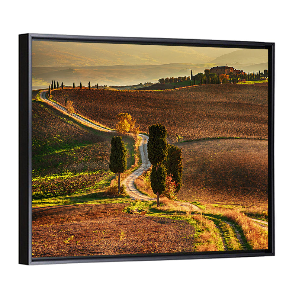Val D’orcia Winding Golden Road Wall Art