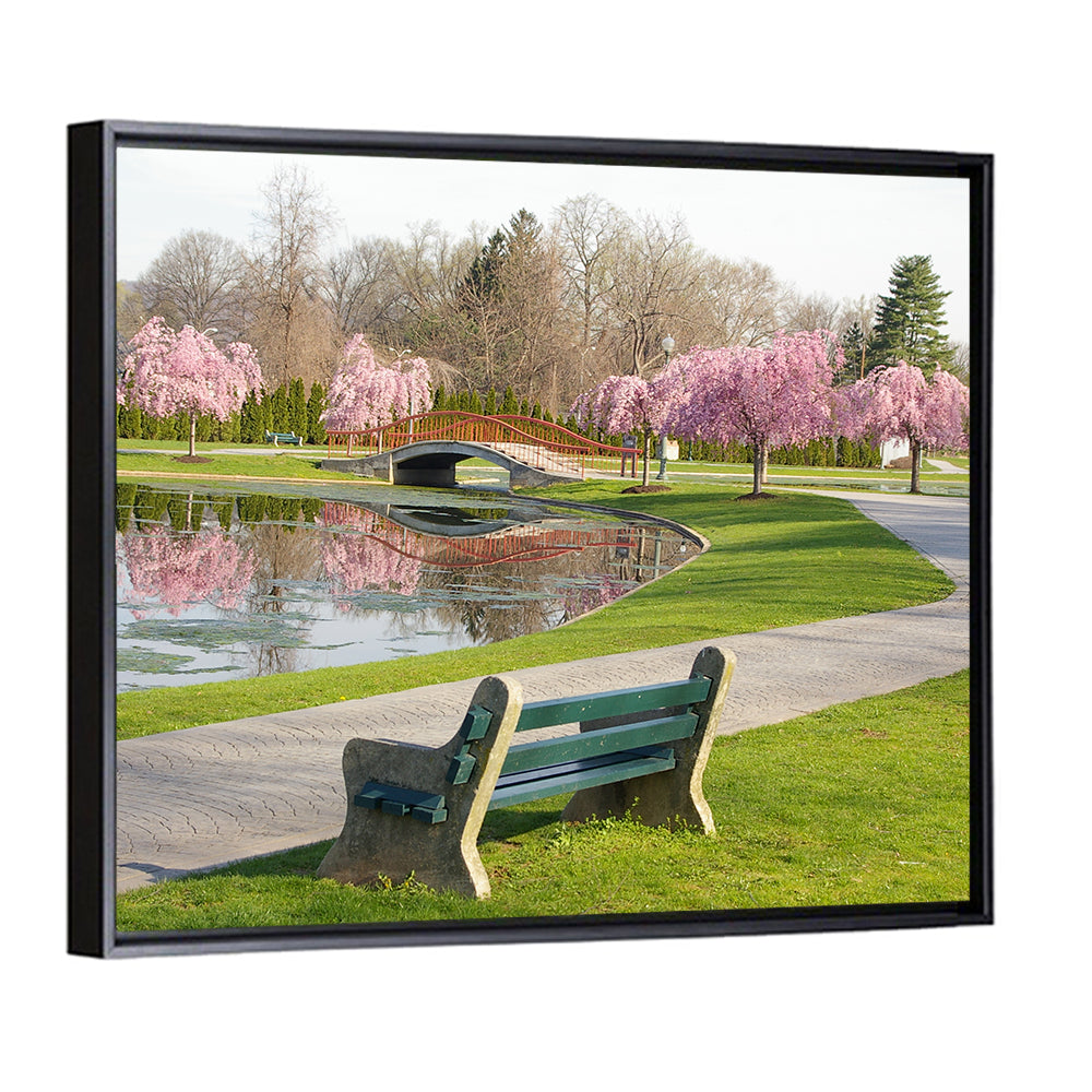 Harrisburg Park Cherry Blossoms Wall Art