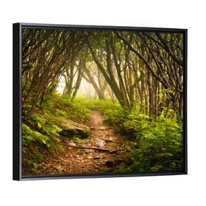 Craggy Gardens Hiking Trail Wall Art