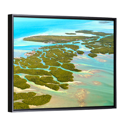 Florida Keys Mangrove Islands Wall Art
