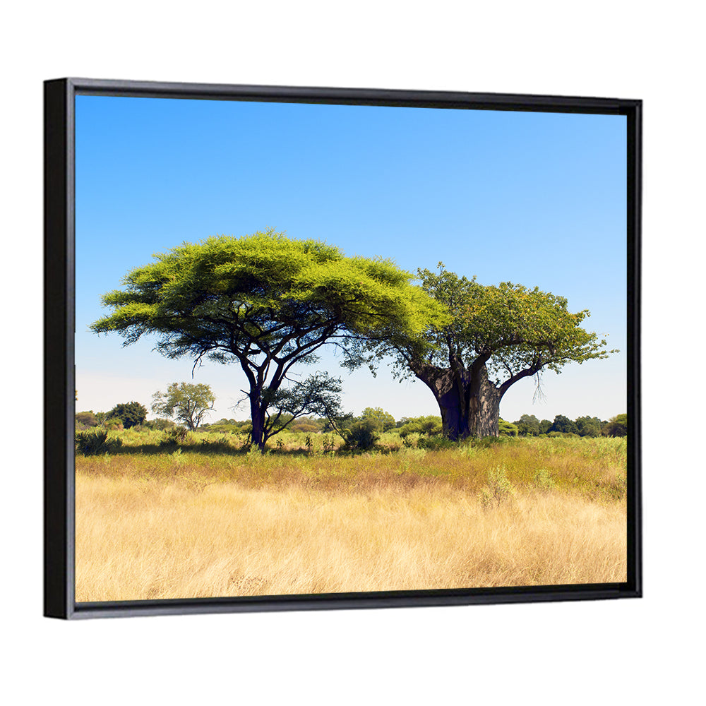 Acacia and Baobab Trees Wall Art