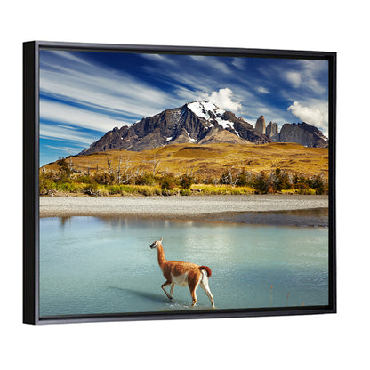 Torres Del Paine, Patagonia Wall Art