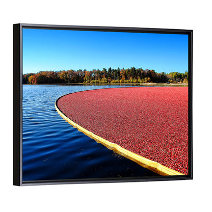Flooded Cranberry Bog Wall Art