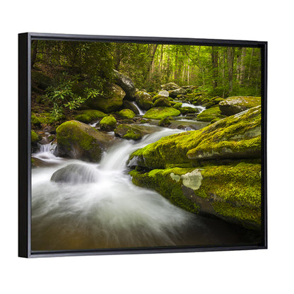 Gatlinburg Park Stream Wall Art