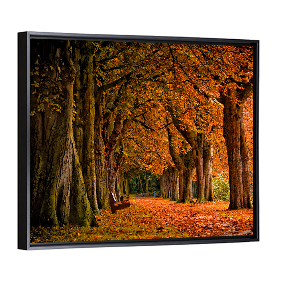 Autumn Forest Pathway Wall Art