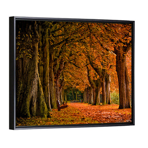 Forest Autumn Pathway Wall Art