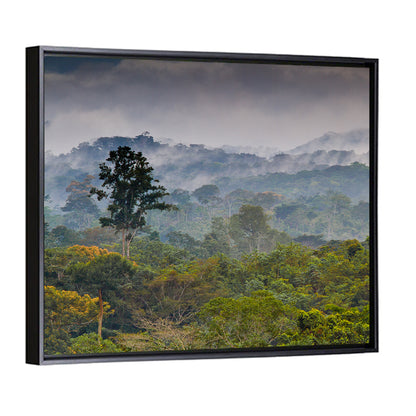 Guinea Rainforest Landscape Wall Art