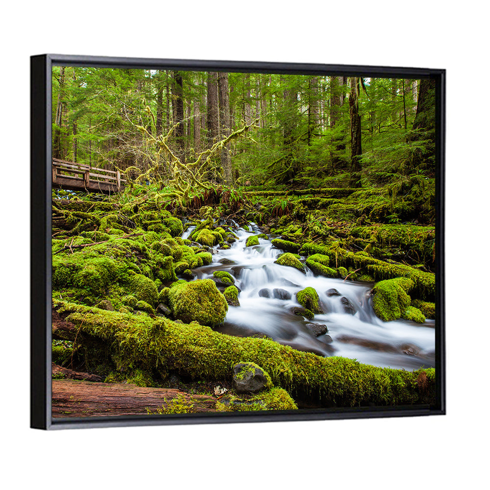 Mossy Cascade Forest Stream Wall Art