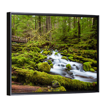 Mossy Cascade Forest Stream Wall Art