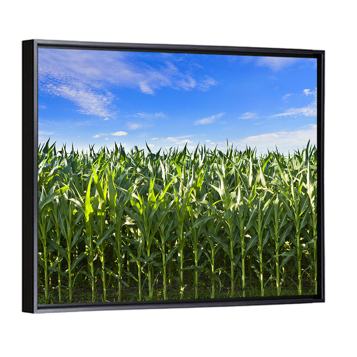 Green Corn Field Wall Art as a framed canvas