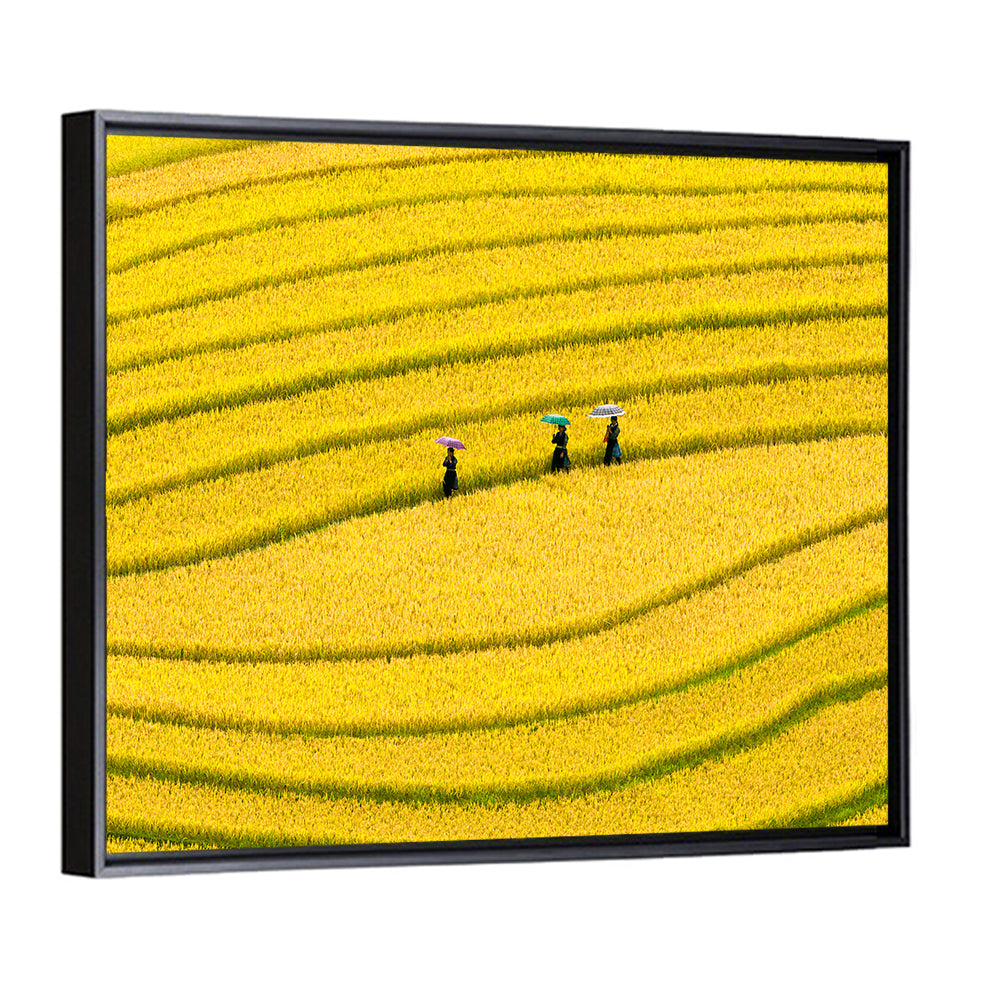Golden Rice Terraces with Umbrellas Wall Art