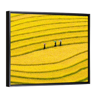 Golden Rice Terraces with Umbrellas Wall Art
