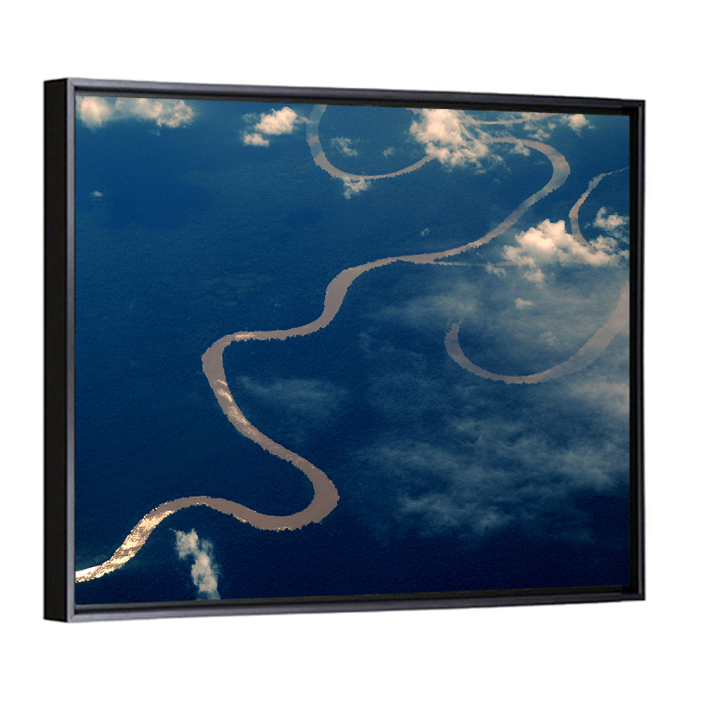 Sunlit Meander of the Amazon River Wall Art
