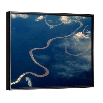 Sunlit Meander of the Amazon River Wall Art