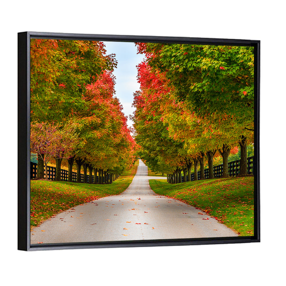 Tree-lined Farm Lane, Kentucky Wall Art