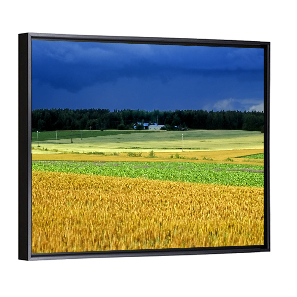Cornfields Under Stormy Sky Wall Art
