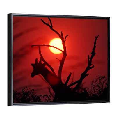 Giraffe Silhouette at Sunset Wall Art