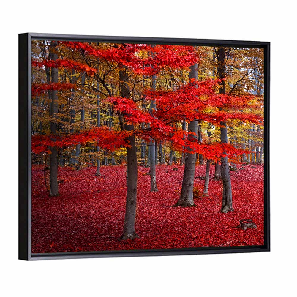 Crimson Autumn Forest Wall Art